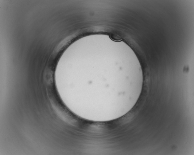 X0000113850164200910221427