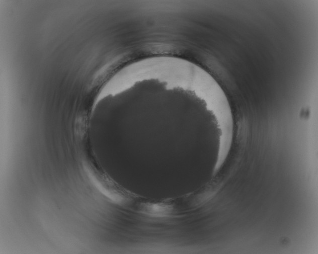 X0000113850165200910221427