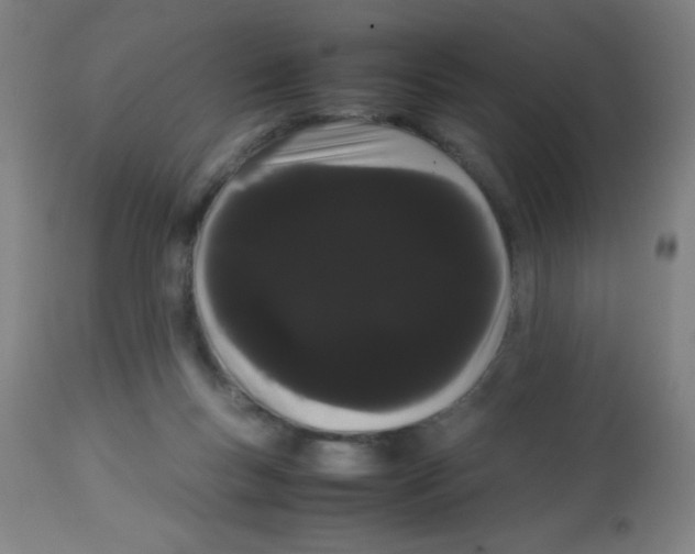 X0000113850167200910221427