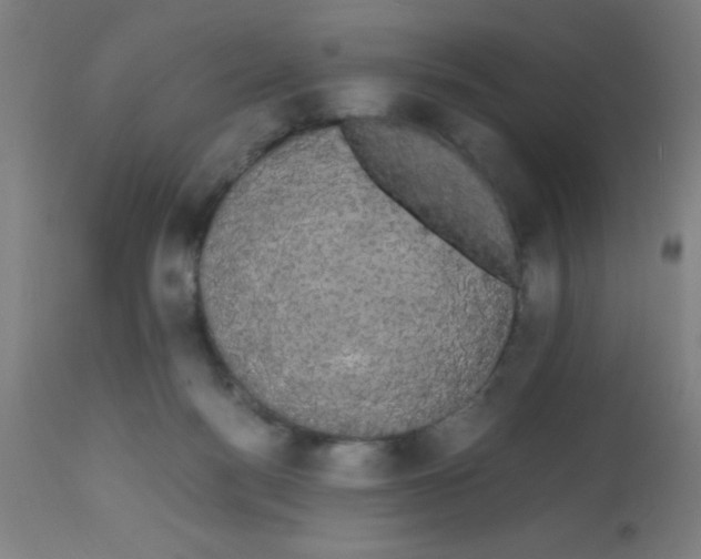 X0000113850172200910221427