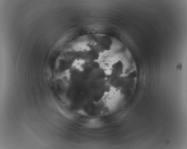 X0000113850173200910221427