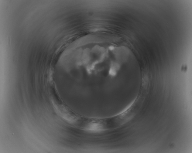 X0000113850175200910221427