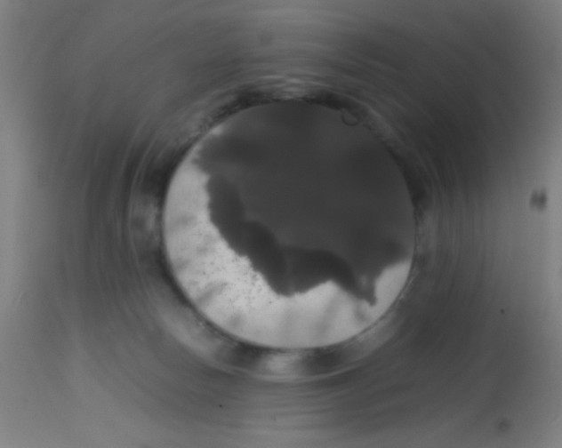 X0000113850178200910221427