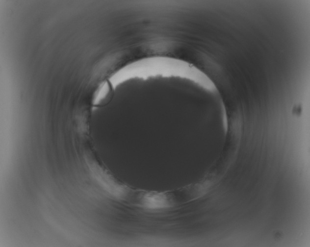 X0000113850181200910221427