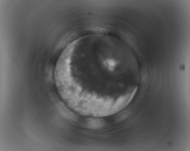 X0000113850185200910221427