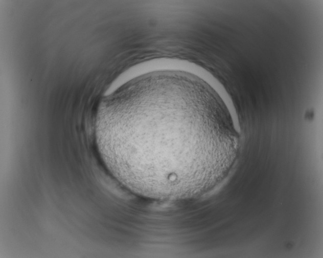 X0000113850186200910221427