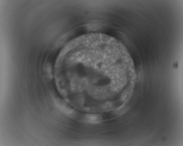 X0000113850187200910221427