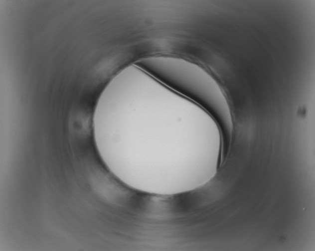 X0000113850188200910221427