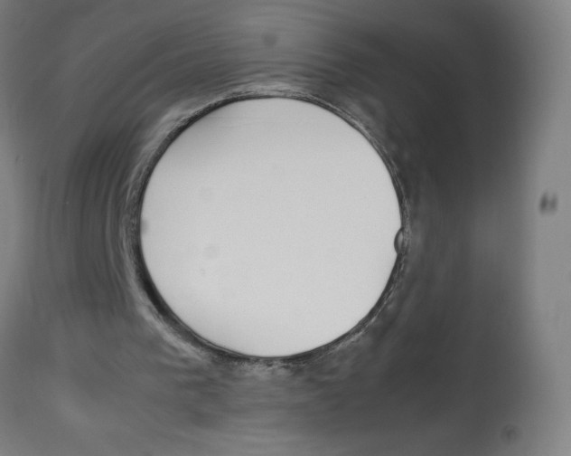 X0000113850193200910221426