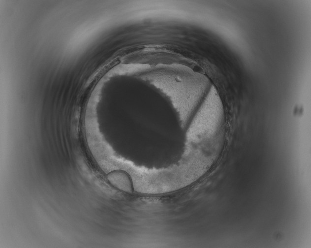 X0000113850194200910221426