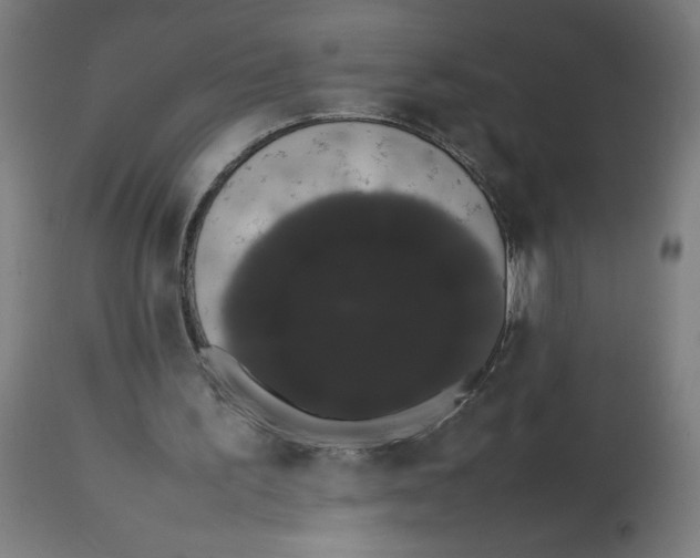 X0000113850195200910221426