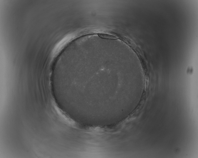 X0000113850197200910221426