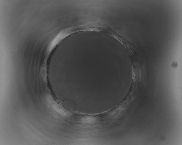 X0000113850198200910221426