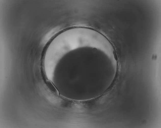 X0000113850199200910221426