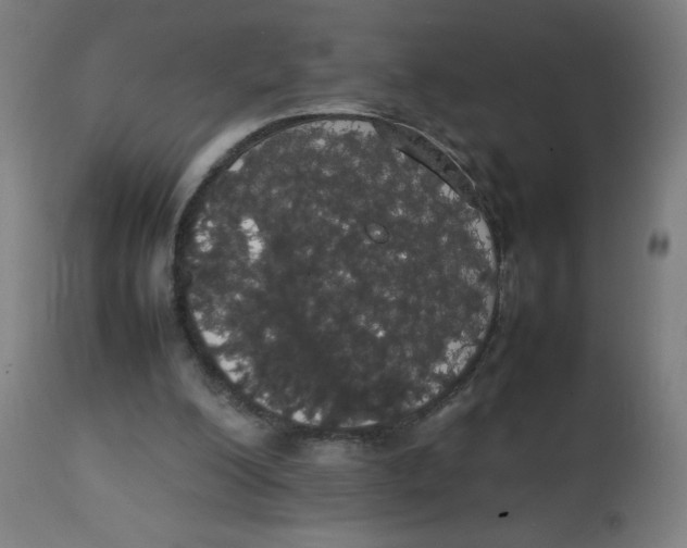 X0000113850200200910221426