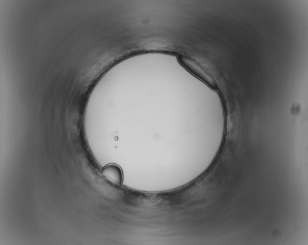 X0000113850201200910221426