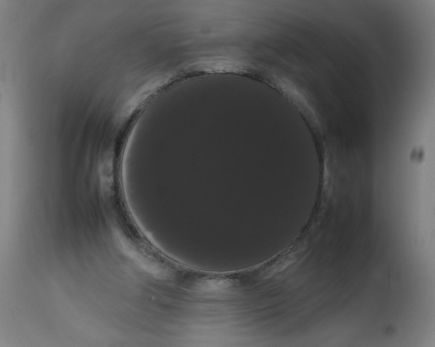 X0000113850202200910221426