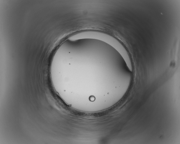 X0000113850203200910221426