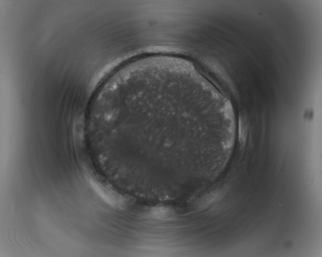 X0000113850204200910221426