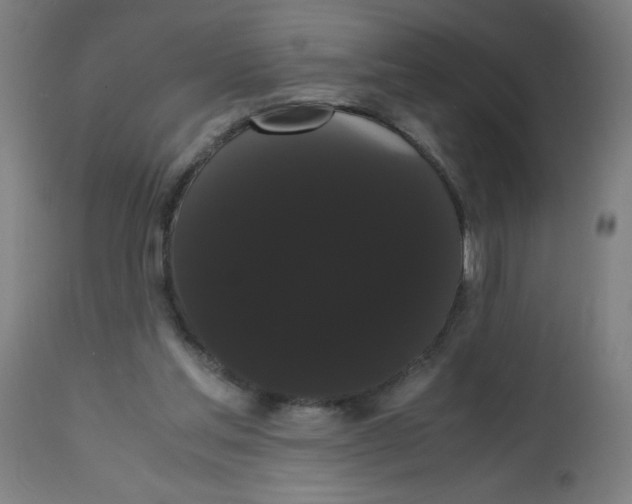 X0000113850205200910221426