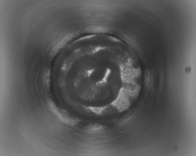 X0000113850206200910221426