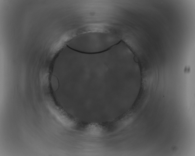 X0000113850207200910221426