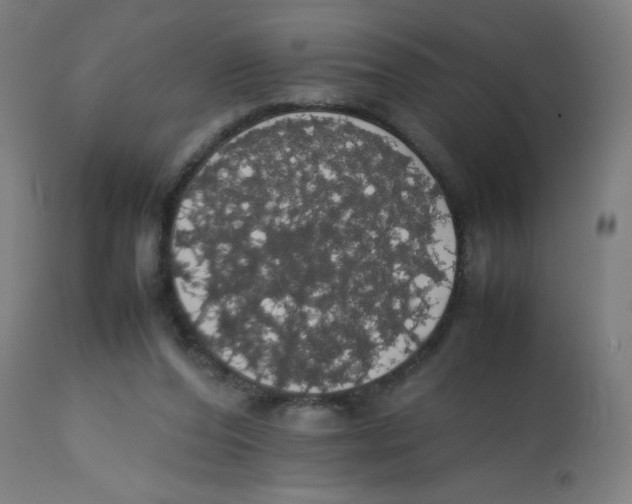 X0000113850208200910221426