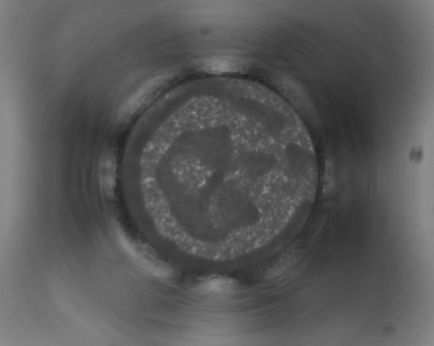 X0000113850210200910221426