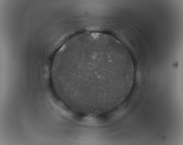 X0000113850211200910221426