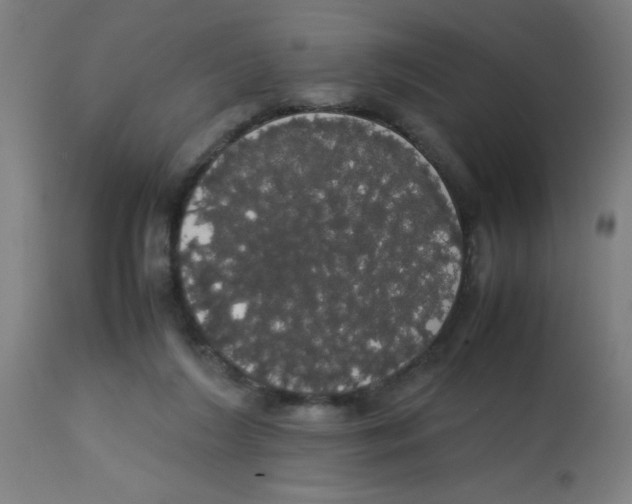 X0000113850212200910221426