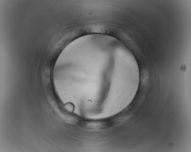 X0000113850213200910221426