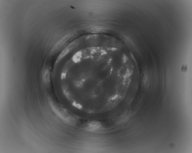 X0000113850214200910221426