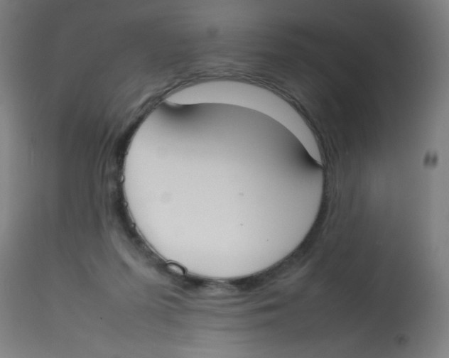 X0000113850215200910221426