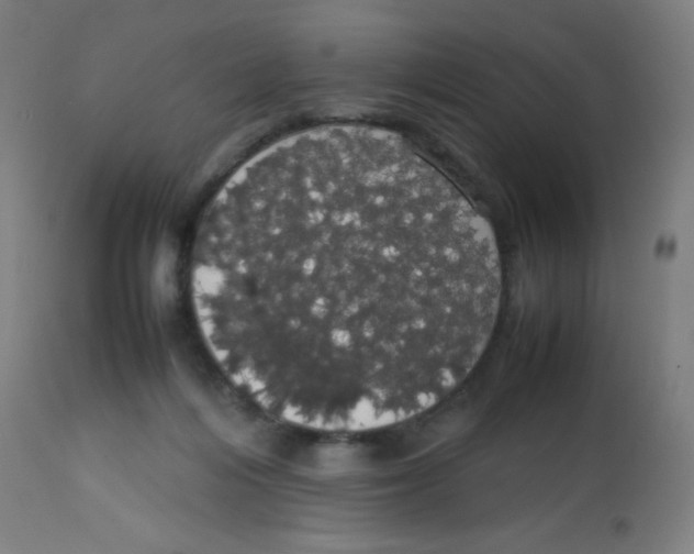 X0000113850216200910221426