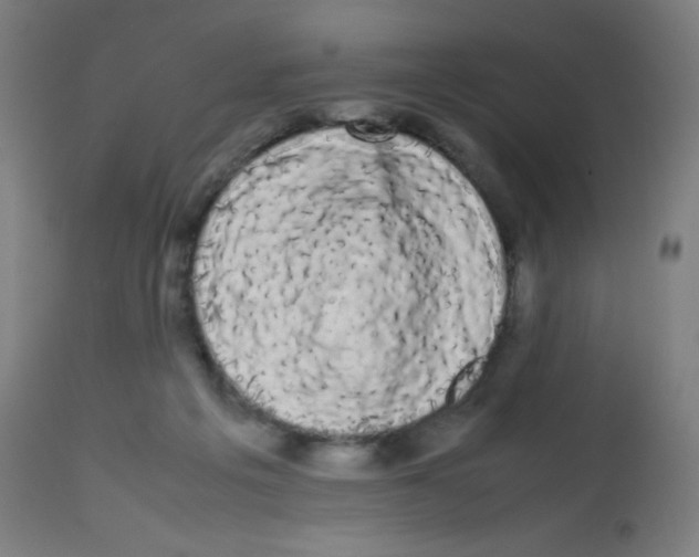 X0000113850217200910221426