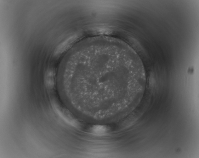 X0000113850218200910221426