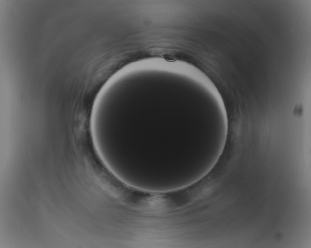 X0000113850219200910221426