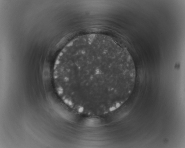 X0000113850220200910221426