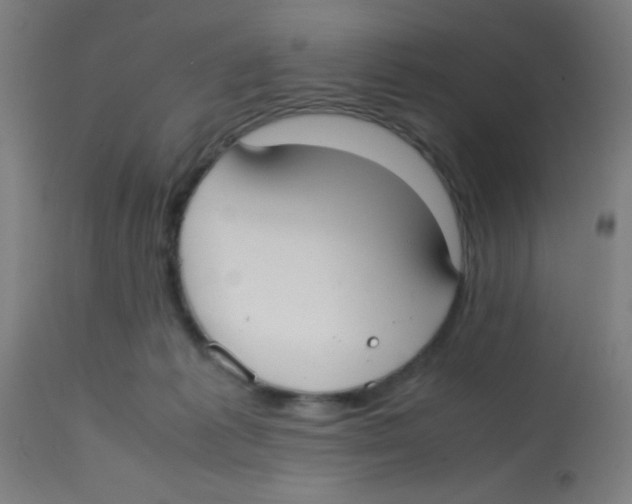 X0000113850221200910221426