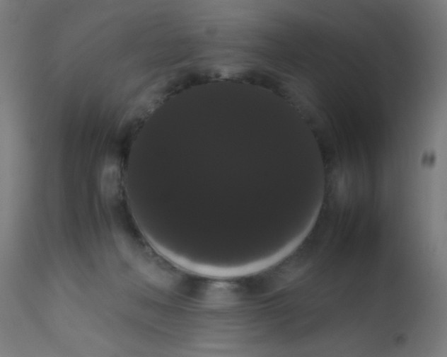 X0000113850222200910221426