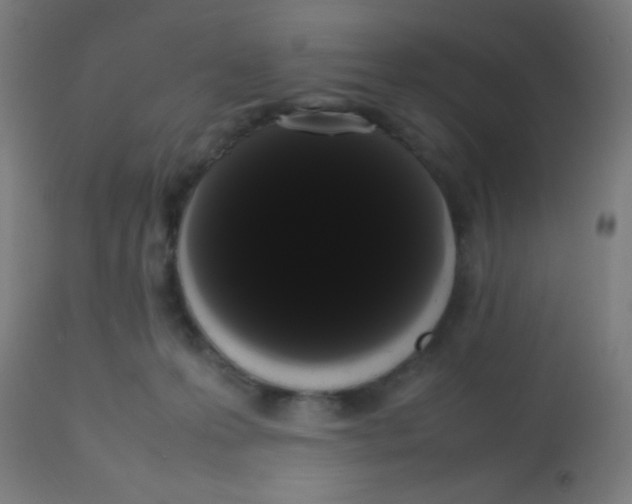 X0000113850223200910221426