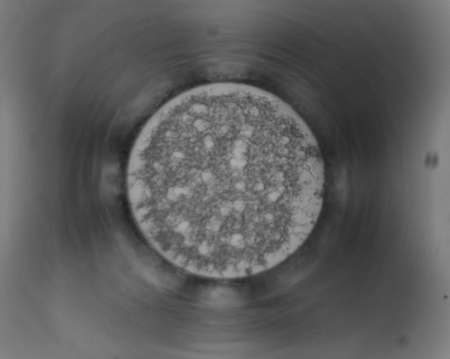 X0000113850224200910221426