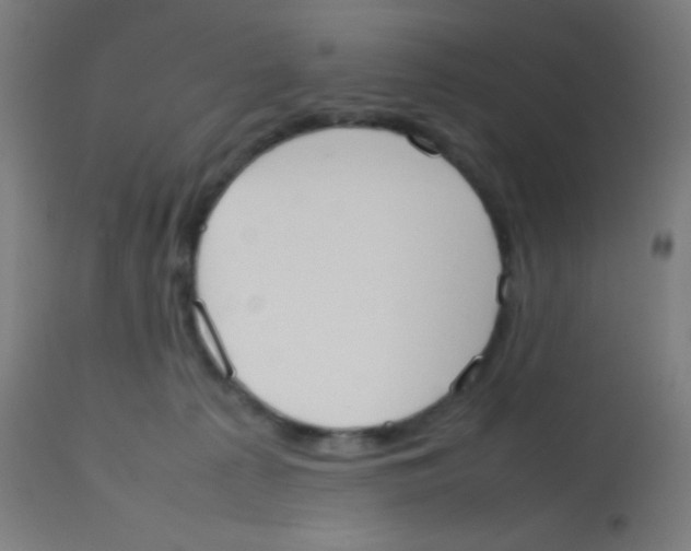 X0000113850225200910221426