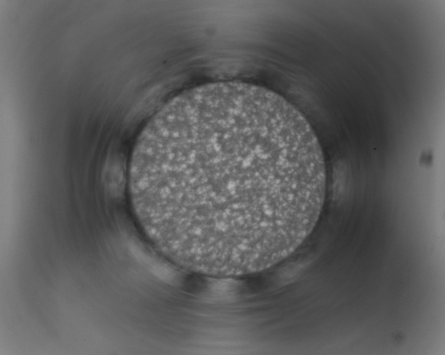 X0000113850226200910221426