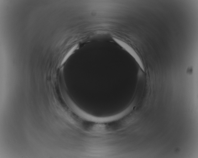 X0000113850227200910221426