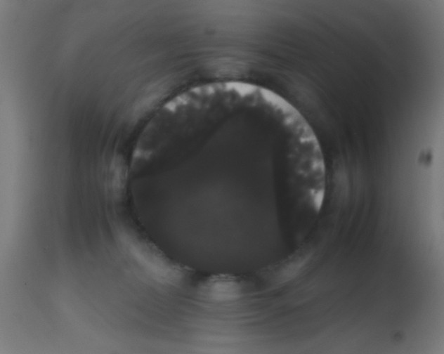 X0000113850228200910221426