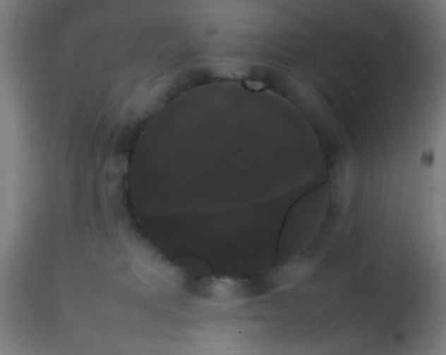 X0000113850229200910221426