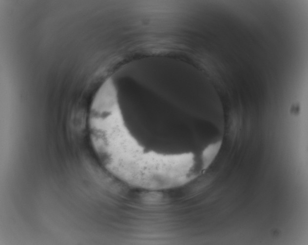 X0000113850230200910221426