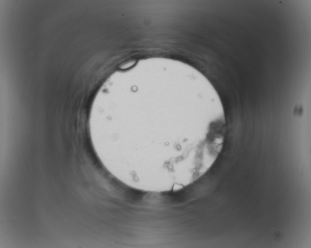 X0000113850231200910221426