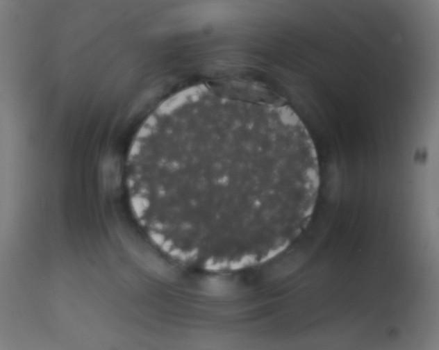 X0000113850232200910221426